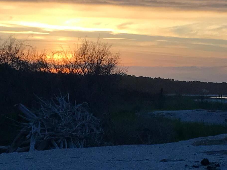 Peaceful Treetop Condo - 2Br/2Ba Hilton Head Island Esterno foto